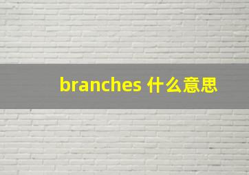 branches 什么意思